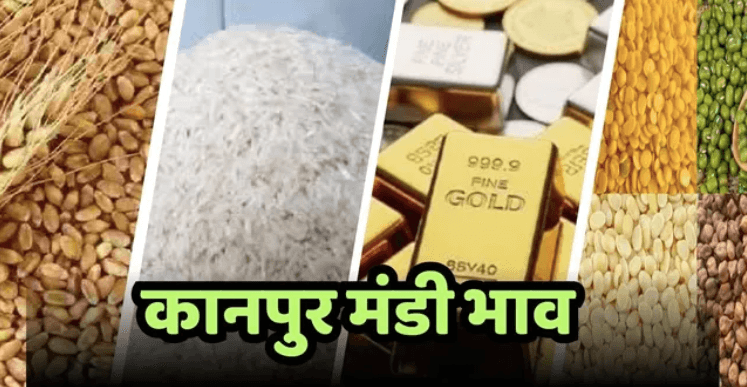 kanpur-mandi-bhav-24-january-2026