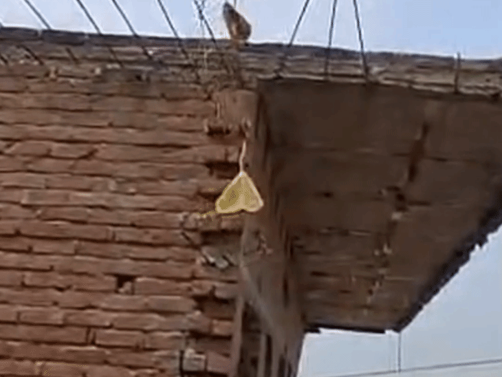 फर्रुखाबाद में गंगा नदी की कटान में समाया मकान, VIDEO:सड़क किनारे तिरपाल तानकर रहने को मजबूर परिवार, खतरे में कई मकान 1 gifmagicsite 2026 08 16t173130017 1786881698